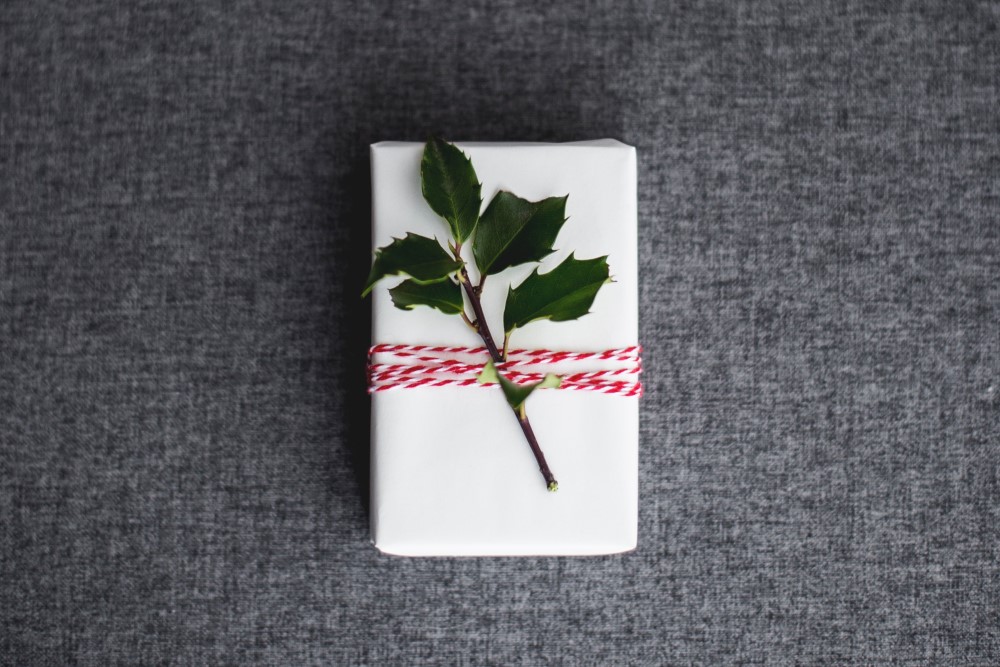 wrapped holiday gift with holly branch and red and white string