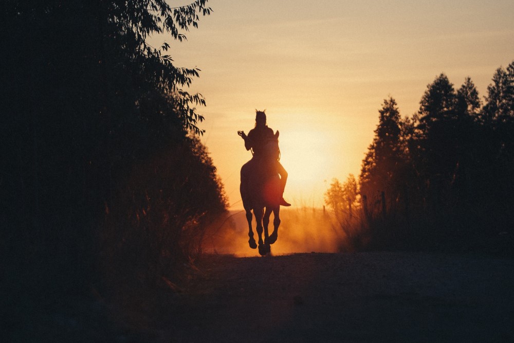 riding a horse in front of the sun